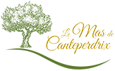 Logo ALTO Infomedia